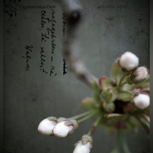 Meet your Posher, Michele - Picture 1 of 1